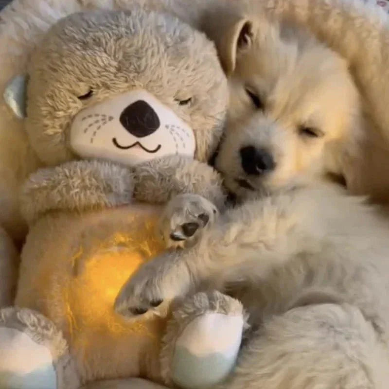 Otter | Beleef ultieme knuffels met deze schattige pluchen metgezel!