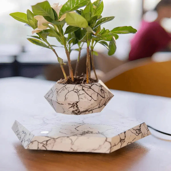 Zwevende plantenhouder met magnetische levitatie - Liva