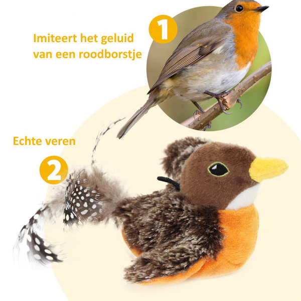 FlyFrenzy - De manier om je kat actief en vermaakt te houden!