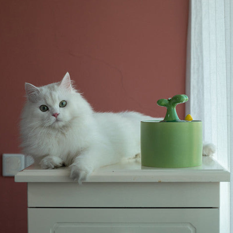 Kattenfontein – SpringFlow™