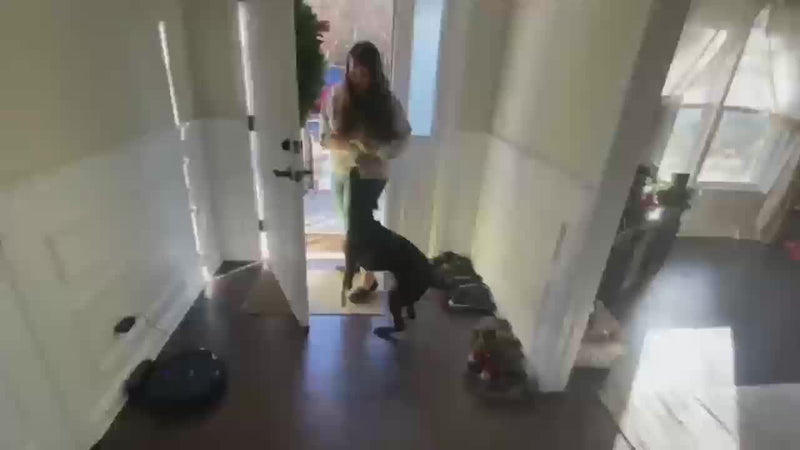 Smart Trainer Pro – Oplaadbare Afstandsbediening Hondenhalsband met Pieptoon & Trilling