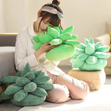 Succulent Dream | Knus met de pluchen perfectie van de natuur!