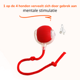 ZoomBall - Interactieve Hondenspeelbal