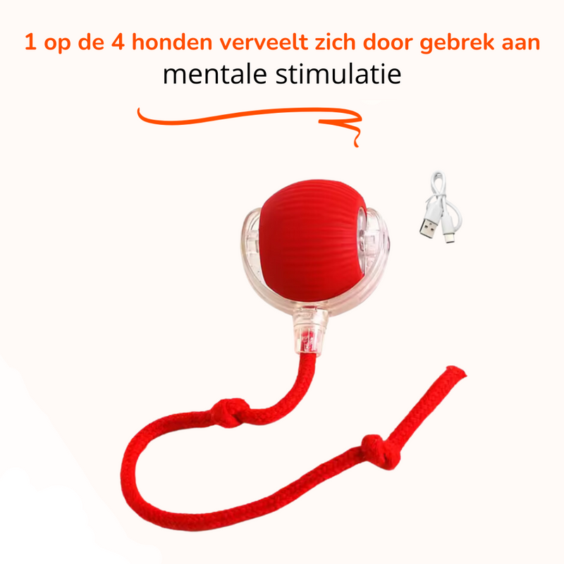 ZoomBall - Interactieve Hondenspeelbal