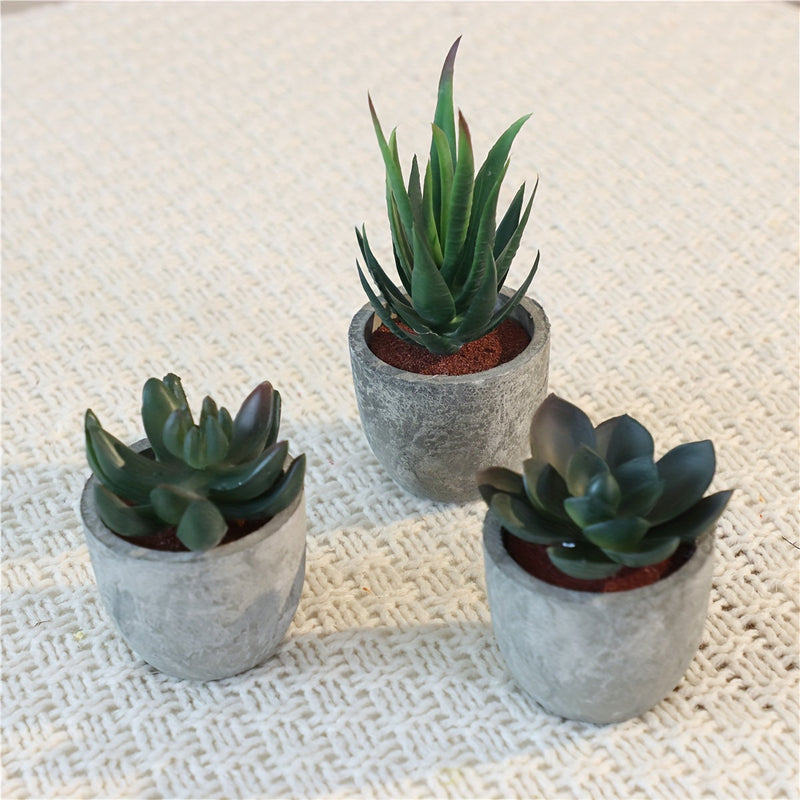 Decoratieve Mini Kunstplantenset in Betonlook – Stijlvolle Groene Touch voor Elk Interieur