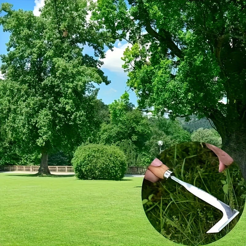 Onkruidverwijderaar voor Wegen - Efficiënt en Handzaam voor Snel Werk