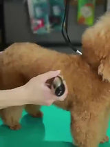 Draadloze Huisdiertrimmer – USB Oplaadbaar en Stil voor Honden en Katten