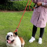 Reflecterende Hondenriem met Gevoerde Handgreep – Verstelbaar en Duurzaam voor Alle Honden