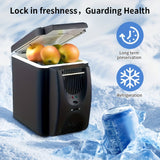 Compacte 6L draagbare mini-koelkast voor auto's – DC 12V elektrische koelbox voor dranken, zeevruchten en fruit, ideaal voor reizen en outdoor-avonturen