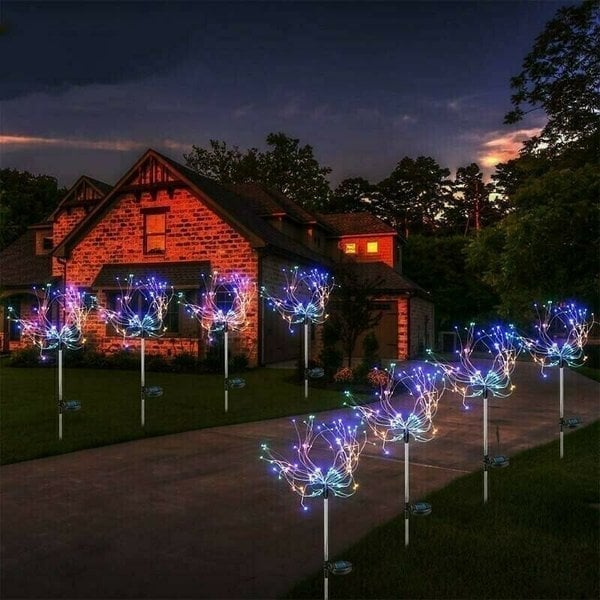 Firework | Geef uw tuin een betoverende uitstraling!