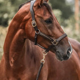 Paarden Adventskalender 2025