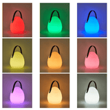 Elegante Tuinlantaarn met LED Verlichting