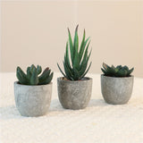 Decoratieve Mini Kunstplantenset in Betonlook – Stijlvolle Groene Touch voor Elk Interieur