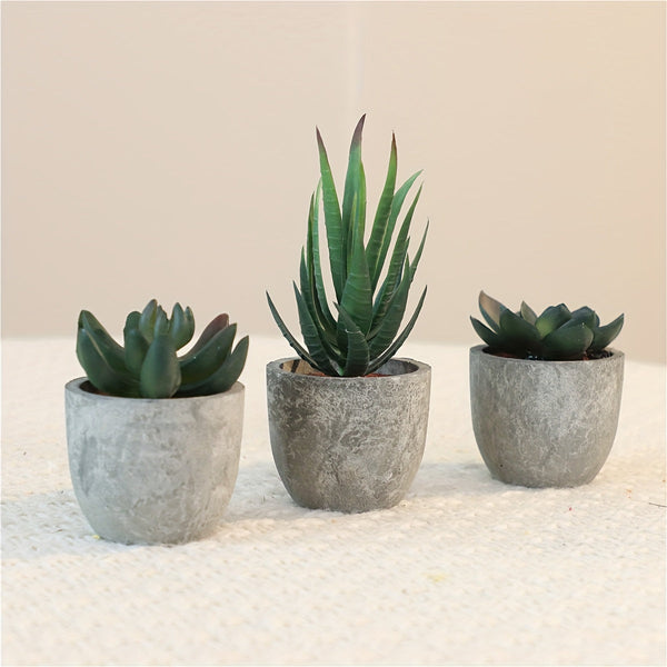 Decoratieve Mini Kunstplantenset in Betonlook – Stijlvolle Groene Touch voor Elk Interieur
