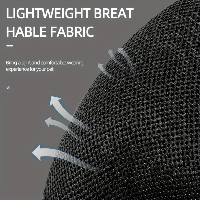 Reflecterend Kattenharnas en Riemset – Ideaal voor Wandelen en Training