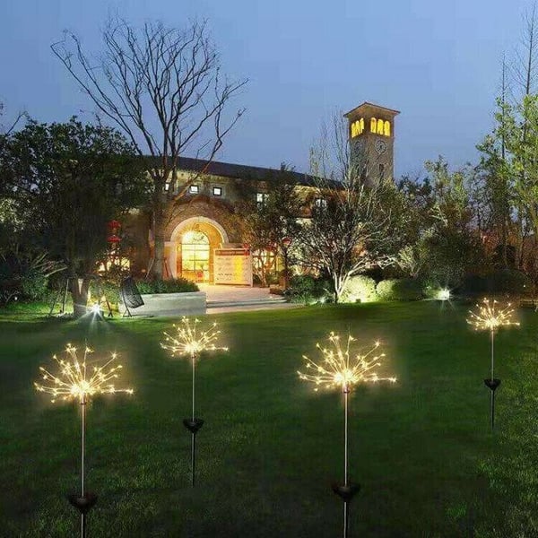 Firework | Geef uw tuin een betoverende uitstraling!