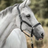 Paarden Adventskalender 2025
