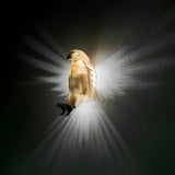 Verlichte Vleugel Wandlamp - LumaWings