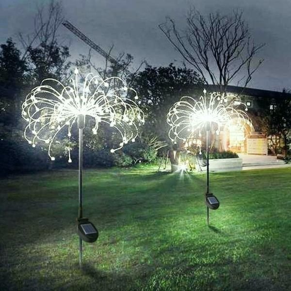 Firework | Geef uw tuin een betoverende uitstraling!