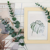 EverGreen Kunstmatige Eucalyptus Stengels – Natuurlijk en Duurzaam