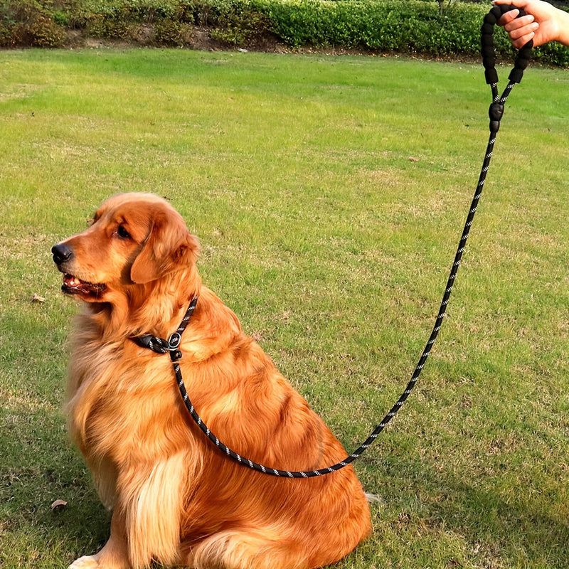 Reflecterende Hondenriem met Gevoerde Handgreep – Verstelbaar en Duurzaam voor Alle Honden