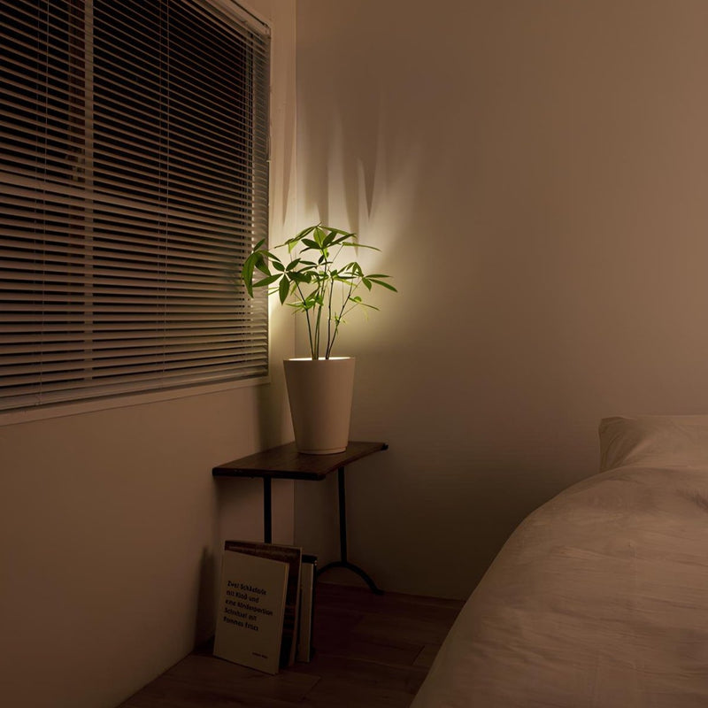 Draadloze LED-Spotlight - LumaSpot
