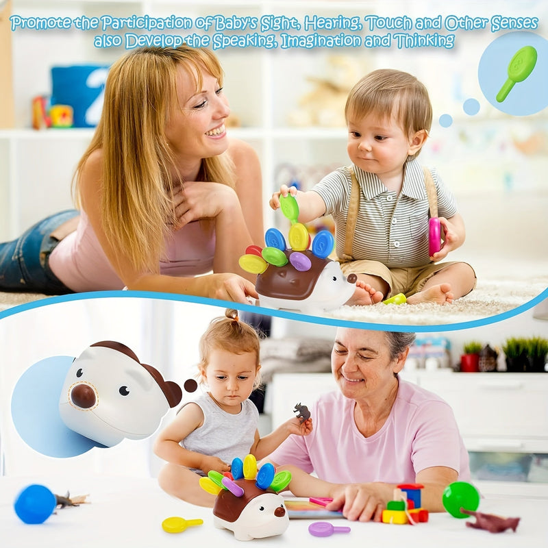 Schattige Egel Educatief Speelgoed - Leer en Speel