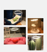 Angel Ring LED Groei Lamp - USB Volledig Spectrum Lamp voor Binnenplanten & Zaailingen
