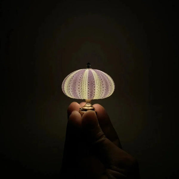 DIY Zee-egel Nachtlamp - LumiUrchin