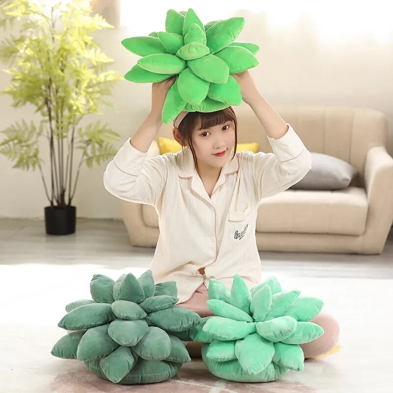 Succulent Dream | Knus met de pluchen perfectie van de natuur!