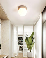Asteroïde Plafondlamp 6.3"