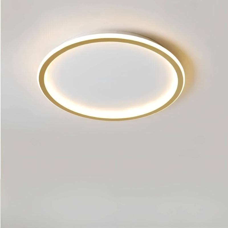 Aurora Globe LED Plafondlamp - Stijlvolle Verlichting voor Elke Ruimte
