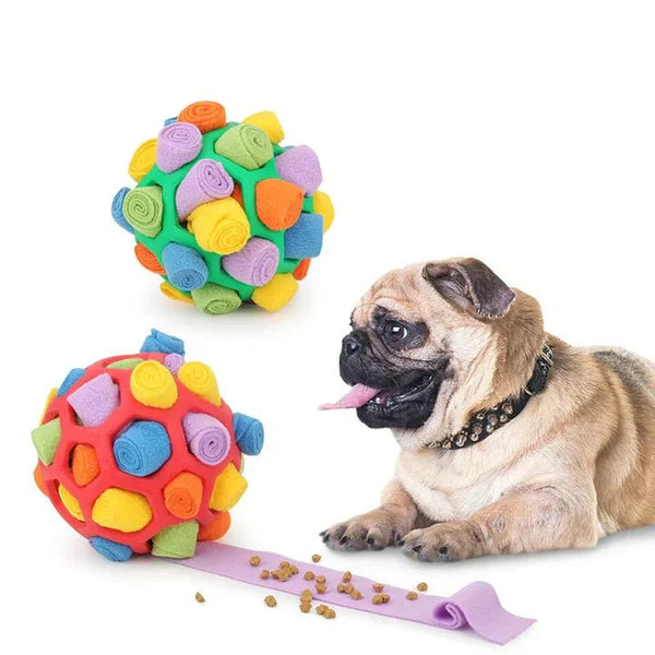 WhiffWiz | Maak van de speeltijd van je hond een snuffelavontuur!