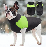 CozyPaws Hondenjas - Warm & Waterdicht