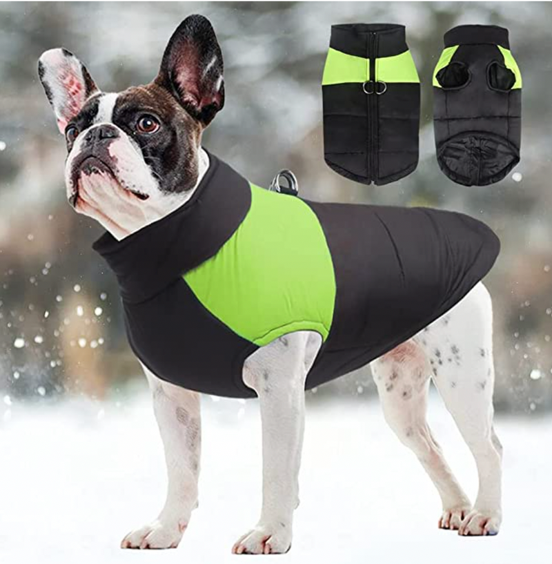 CozyPaws Hondenjas - Warm & Waterdicht