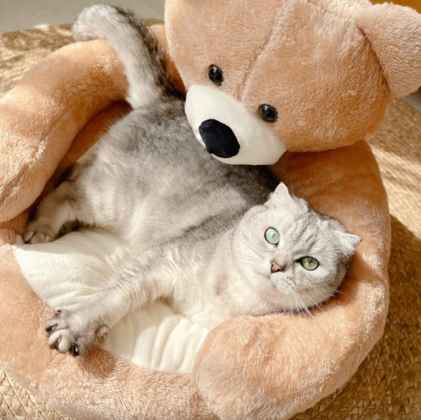 CuddleBear Kattenbed - Voor Ultiem Comfort en Gezelligheid