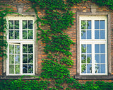 ReflectiveWindow | Transformeer uw ruimte met direct comfort en privacy!