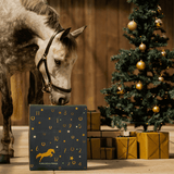 Paarden Adventskalender 2025