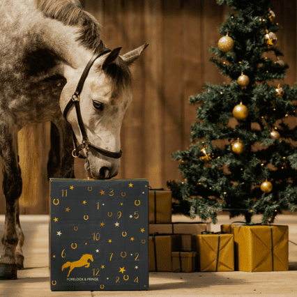 Paarden Adventskalender 2025