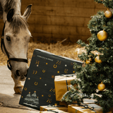 Paarden Adventskalender 2025