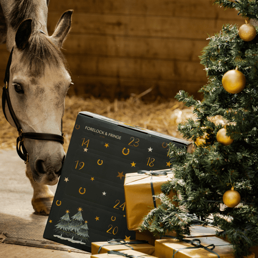 Paarden Adventskalender 2025