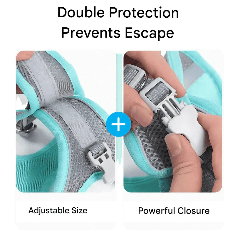 Verstelbaar kattenharnas met lijn – WhiskerWander