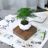 AirZen | Ervaar het wonder van zwaartekracht tartende planten!