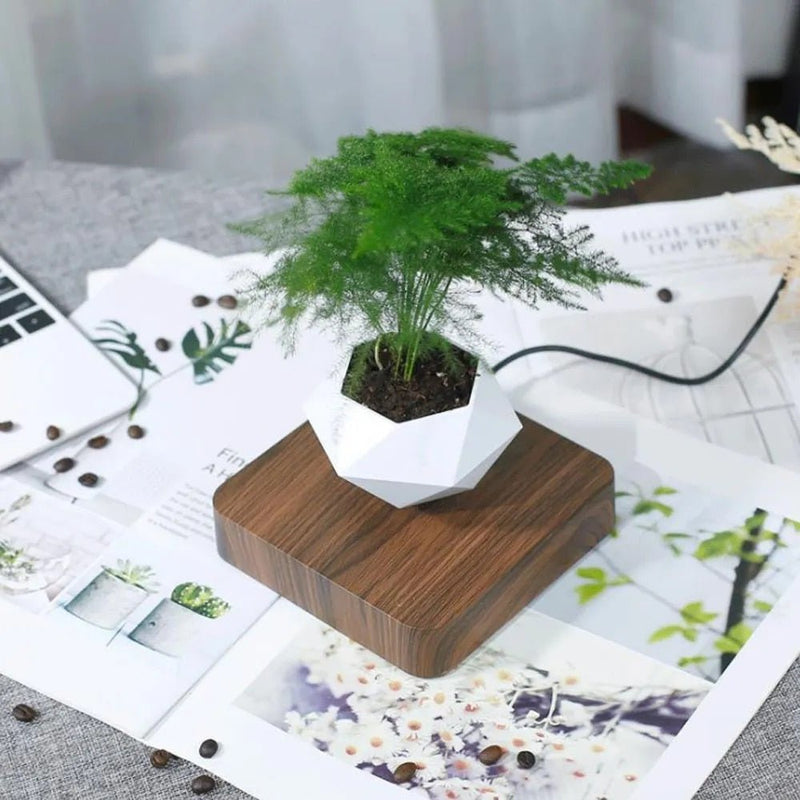 AirZen | Ervaar het wonder van zwaartekracht tartende planten!
