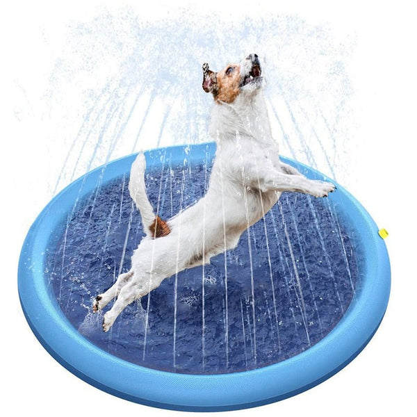 Splash | Het ultieme wateravontuur voor je harige vriend!