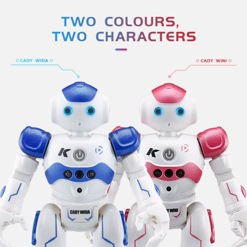 Interactieve Onderwijsrobot - NovaBot