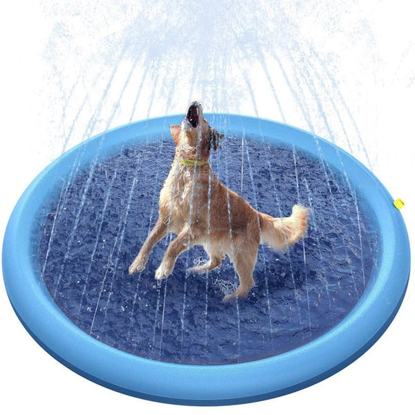 Splash | Het ultieme wateravontuur voor je harige vriend!