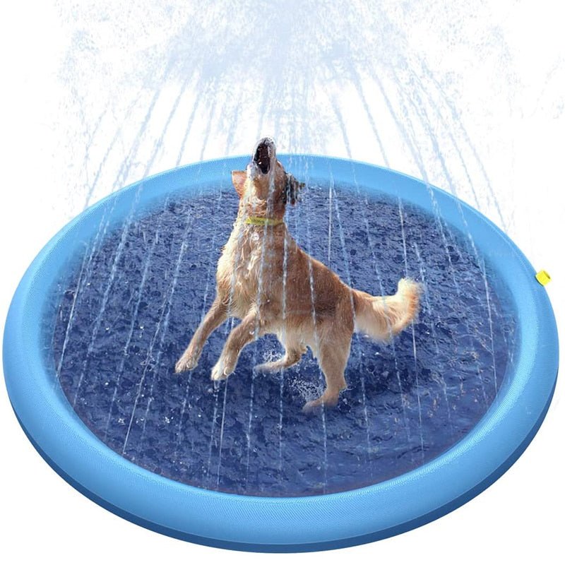 Splash | Het ultieme wateravontuur voor je harige vriend!
