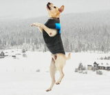 CozyPaws Hondenjas - Warm & Waterdicht