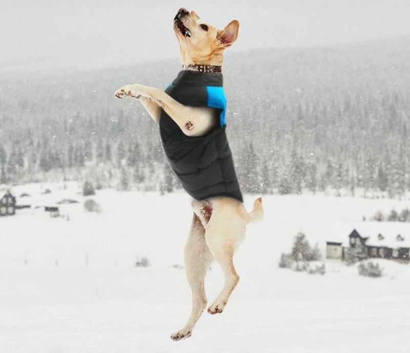 CozyPaws Hondenjas - Warm & Waterdicht
